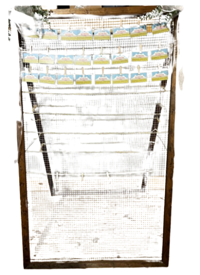 Picture of WEDDING, SEATING CHART RUSTIC